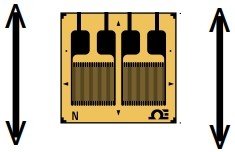 美国OMEGA用于弯曲应用的应变片双栅