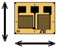 美国OMEGA双元件双轴三通应变花传感器