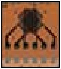 美国OMEGA耐高温和耐交变载荷应变片