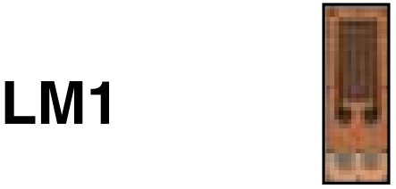 美国OMEGA耐高温和耐交变载荷应变片