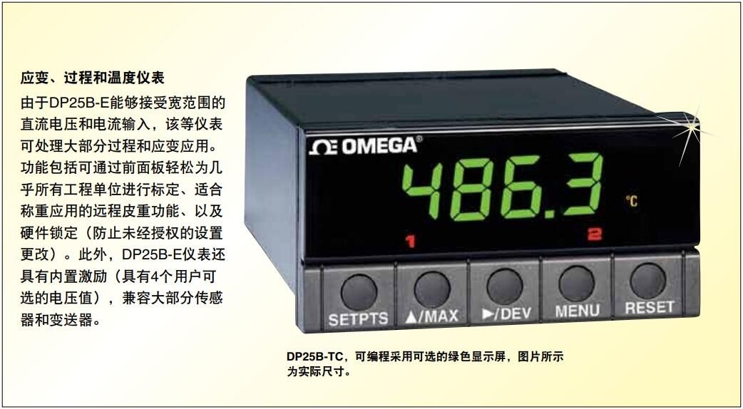 美国OMEGA ⅛ DIN应变、过程和温度表显示屏D