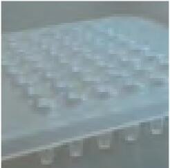Antylia PCRmax Eco48实时荧光定量PCR系统