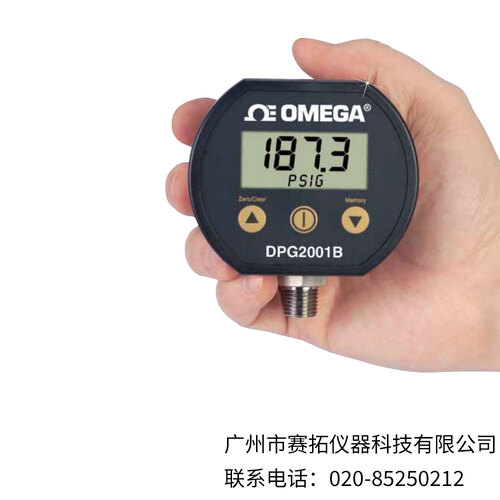 美国OMEGA具有可选工程单位和测量存储器的数字压力表DPG2001B系列